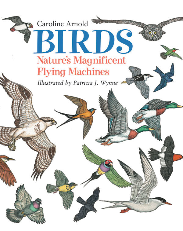 Birds – Charlesbridge