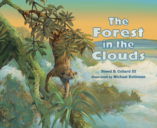 The Forest in the Clouds