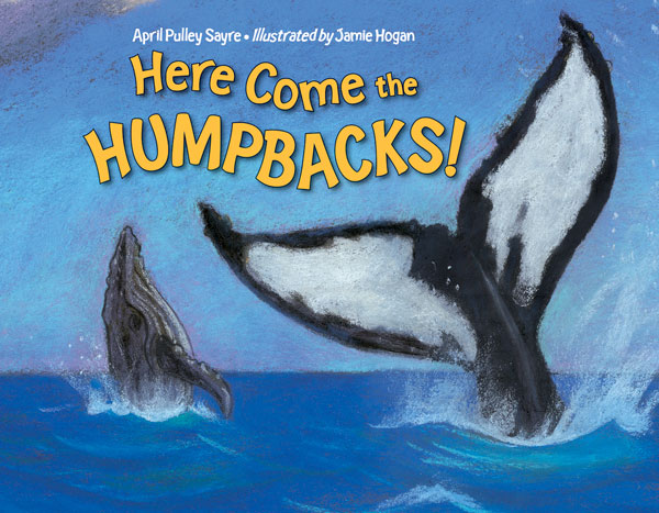 HumpBack 帰り道 The Most Incredible Humpback Encounter I've Ever Seen!