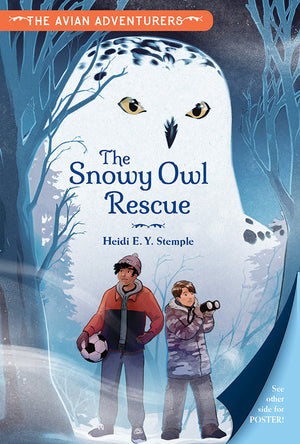 Snowy Owl Rescue