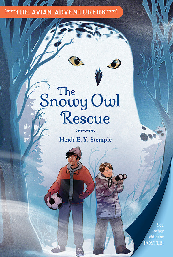 Snowy Owl Rescue