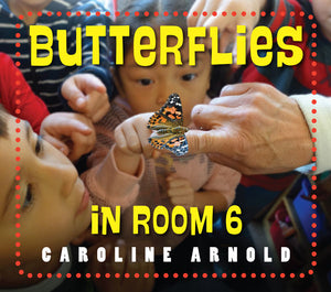 Butterflies in Room 6 book cover