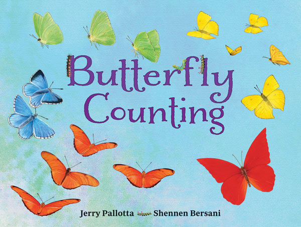 Butterfly Counting