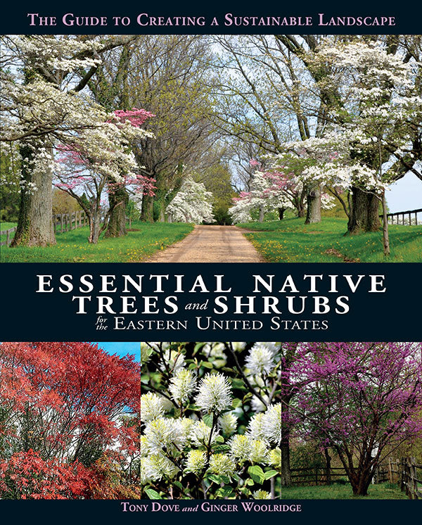 Eastern Trees Essential Native Trees and Shrubs for the Eastern United States ...
