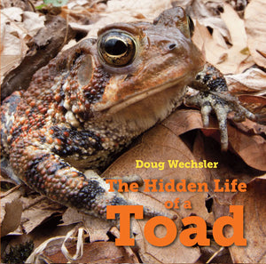The Hidden Life of a Toad book cover