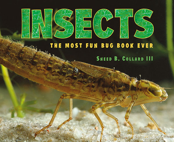 Insects: The Most Fun Bug Book Ever – Charlesbridge