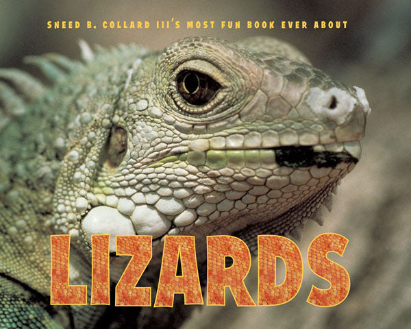 Sneed B. Collard III’s Most Fun Book Ever About Lizards