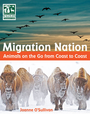 Migration Nation book cover