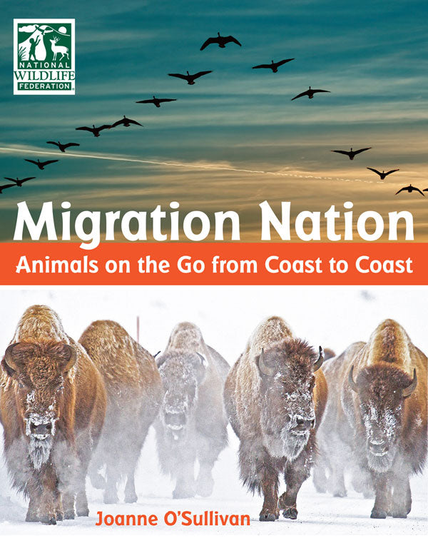 Migration Nation