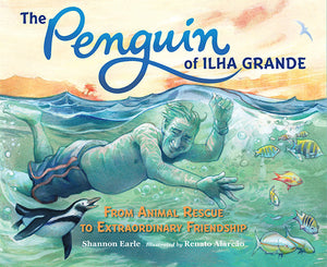 The Penguin of Ilha Grande