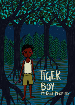 Tiger Boy book cover